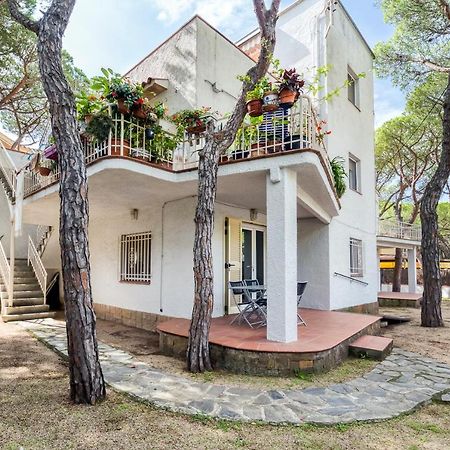 Hauzify I Apartament Edelweiss 플라티야 다로 외부 사진